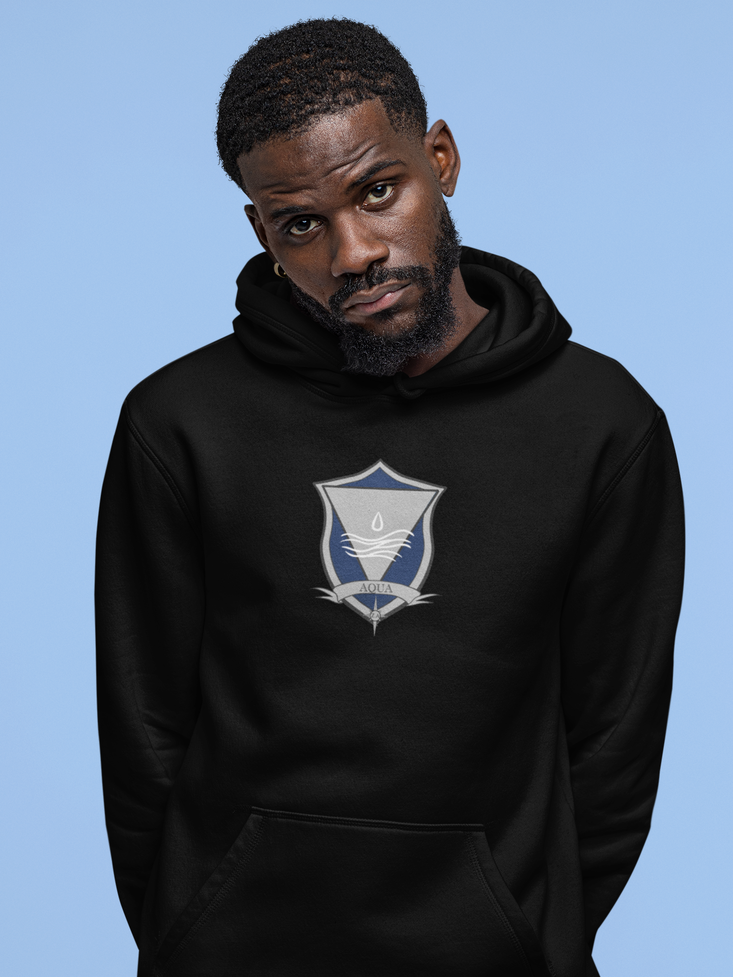 Houses - Aer - Ignis - Terra - Aqua - Hoodie - Zodiac Academy Merchandise