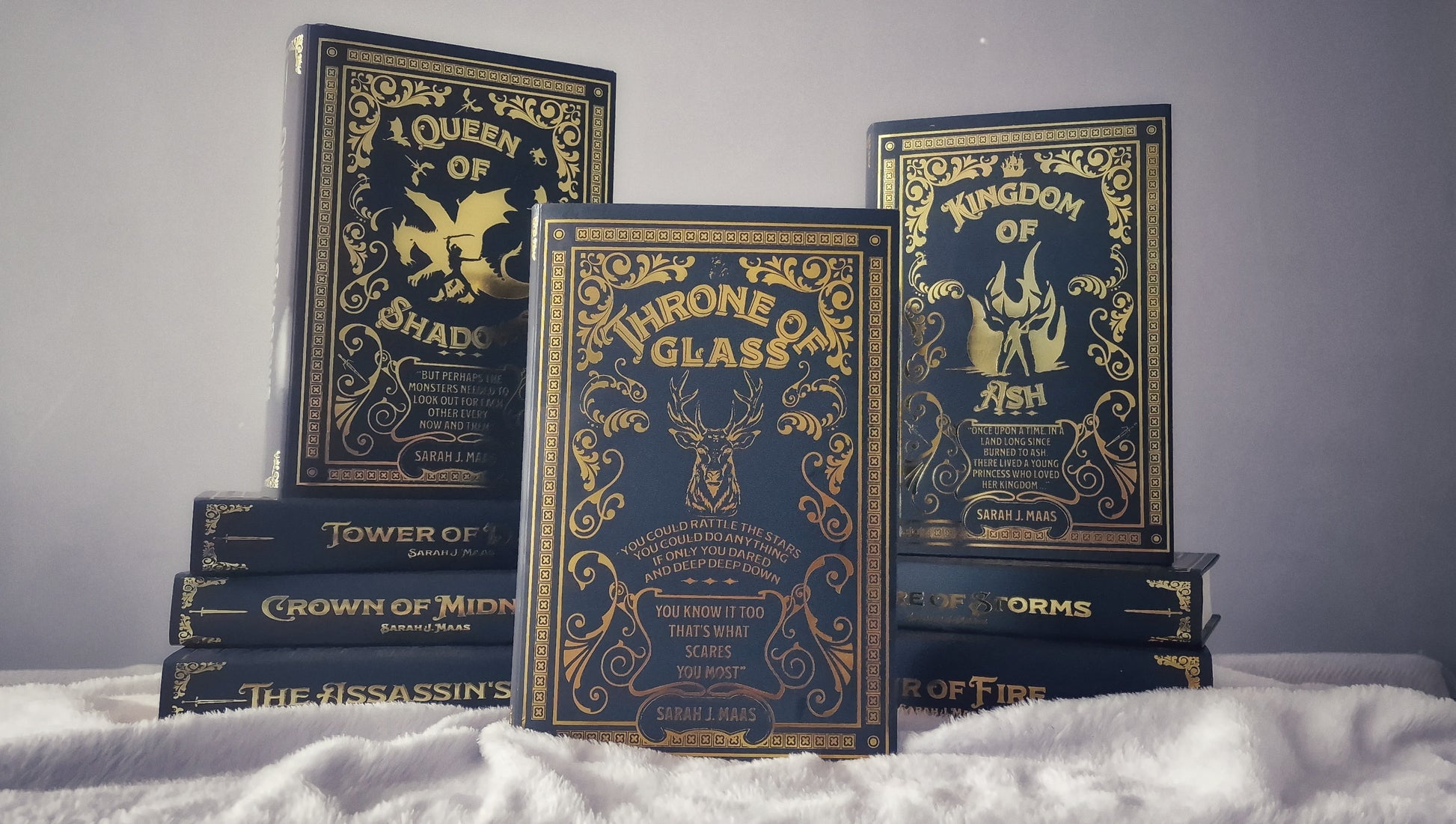 Throne of Glass Dust Jacket Set 