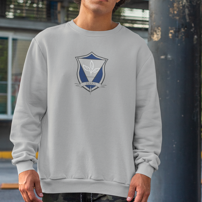 Houses - Aer - Ignis - Terra - Aqua - Sweatshirt - Zodiac Academy Merchandise