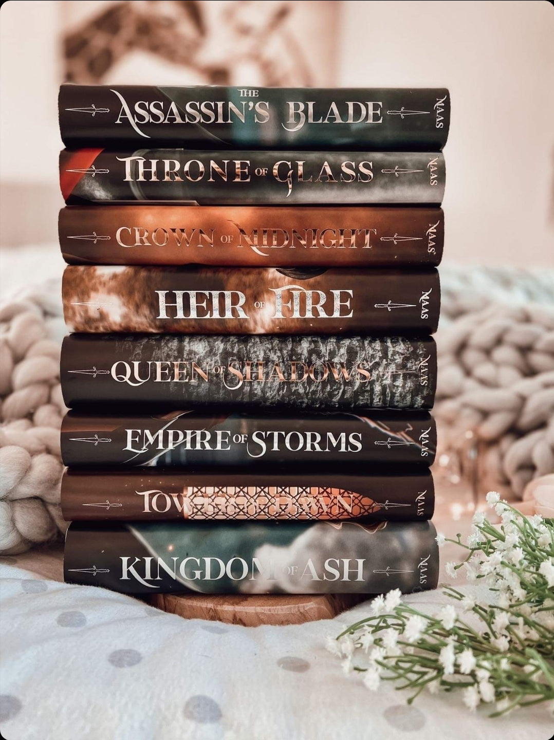 Throne of Glass Dust Jacket Set - Officially Licenced