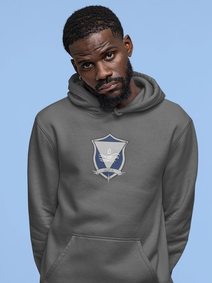 Houses - Aer - Ignis - Terra - Aqua - Hoodie - Zodiac Academy Merchandise
