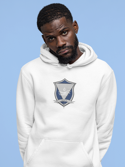 Houses - Aer - Ignis - Terra - Aqua - Hoodie - Zodiac Academy Merchandise